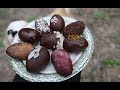 Vegan Easter Eggs