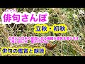 【俳句さんぽ・第25回】秋立つ・立秋（秋の季語）古来から日本人の底流にある繊細な気づきとそれを言葉に表現する。大事に伝えていきたいですね。#俳句 #俳句鑑賞 #俳句朗読