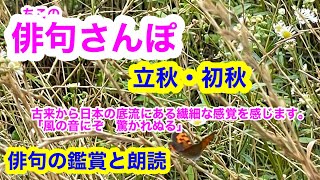 【俳句さんぽ・第25回】秋立つ・立秋（秋の季語）古来から日本人の底流にある繊細な気づきとそれを言葉に表現する。大事に伝えていきたいですね。#俳句 #俳句鑑賞 #俳句朗読