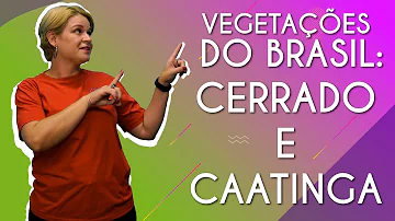 Qual é a vegetação predominante da caatinga?