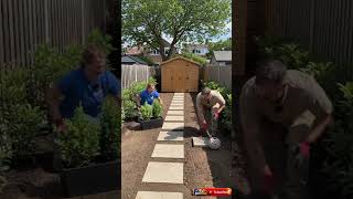 Jungle Backyard to Dream Garden Transformation 😱 #gardenmakeover #yardcleanup #satisfying #shorts