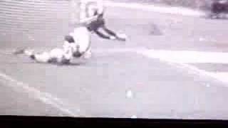 Amazing catch for a touchdown