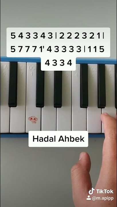 Hadal Ahbek cover pianika   not angka