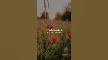 سعد الغامدي سورة الكوثر - ترتيل هادئ