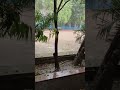 #shorts #viral #reels #barish