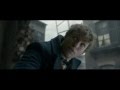 Fantastic beasts and where to find them  43 tv spot 14 criminal