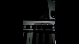 A 1000 Korg Pa 800 Ritimlerini Çözmeye Başladı