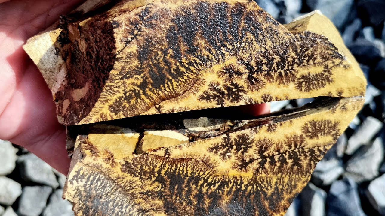 Manganese Dendrites.  Scientists Know.