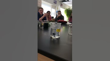 Slow Motion Iodine Clock reaction