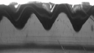 Faraday Waves at 30Hz 1 D system (Water)