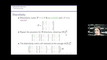 Marcela Svarc - Clustering EEG data by law