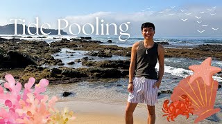 Come Tide Pooling at Crystal Cove State Park with Me!