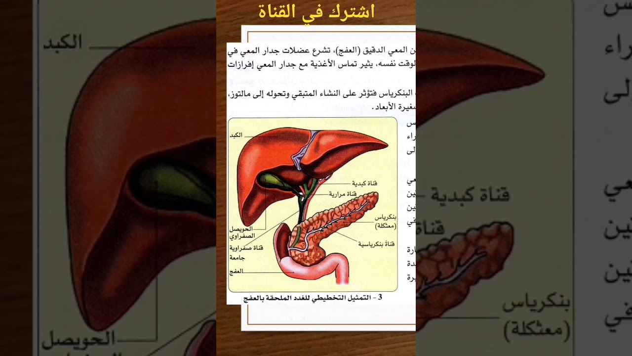 دروس الرابعة متوسط علوم طبيعة و الحياة