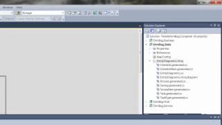 Telerik ORM Bug Ignores Project Namespace