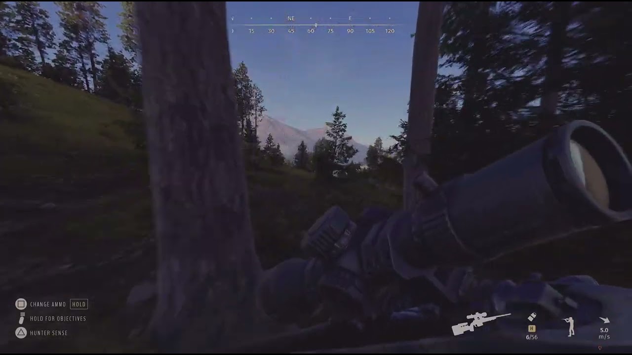 Way of the Hunter bear hunt