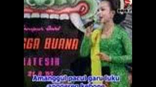 Jineman Uler Kambang, Langgam Meh Rahino