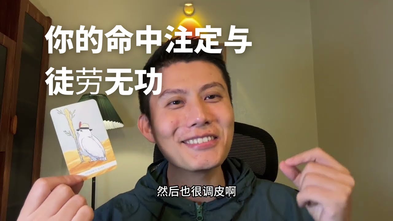 【大雨塔塔第三季】你的命中注定与徒劳无功