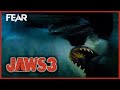 Shark Attacks The Dolphin Pen | Jaws 3 | Fear