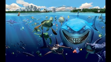 Finding Nemo & Dory ~ Different Stories Different Lives