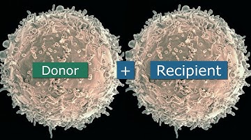 Living Donation: Compatibility-Related Issues