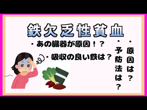 鉄欠乏性貧血を5分でまとめてみた【看護師国家試験合格への道】