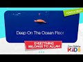 Everything Belongs to Allah | Zain Bhikha Kids