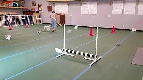Whisper Rally Advanced Course #4