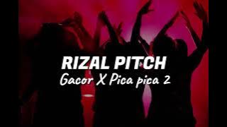 Download lagu RIZAL PITCH - GACOR X PICA PICA 2 ( NEW REMIX 2025 )