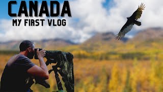 MY FIRST WILDLIFE PHOTOGRAPHY VIDEO FROM CANADA - How did I get on?? Canadian National Park