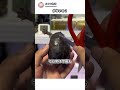 このカメ、何してる??