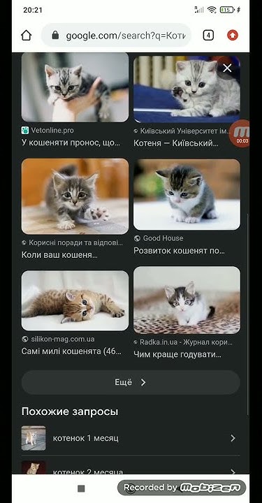 Захар слота укр - YouTube