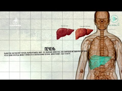 Шокирующая статистика | Ислам и медицина об алкоголе
