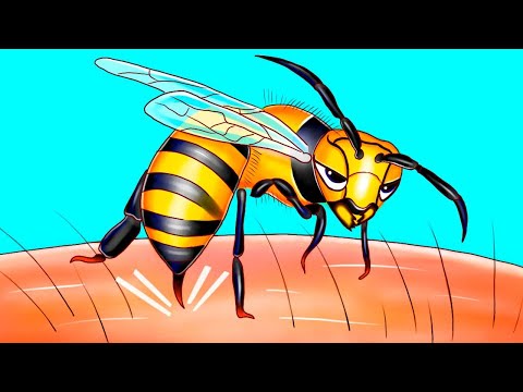 Видео: Жалят ли парящие пчелы?