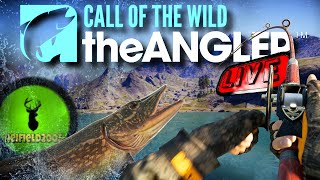 Spiders Tourney Call Of The Wild The Angler