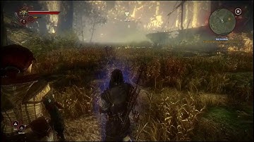 The Witcher 2 Max Settings PC HD Gameplay with Radeon 280x