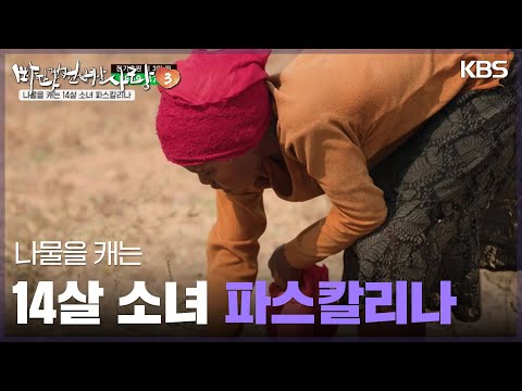 나물을 캐는 <strong>14살</strong> <strong>소녀</strong> 파스칼리나 [바다 건너 사랑 3] | KBS 250216 방송