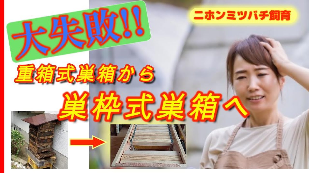 My hobby of Japanese honeybee beekeeping: I moved my Japanese