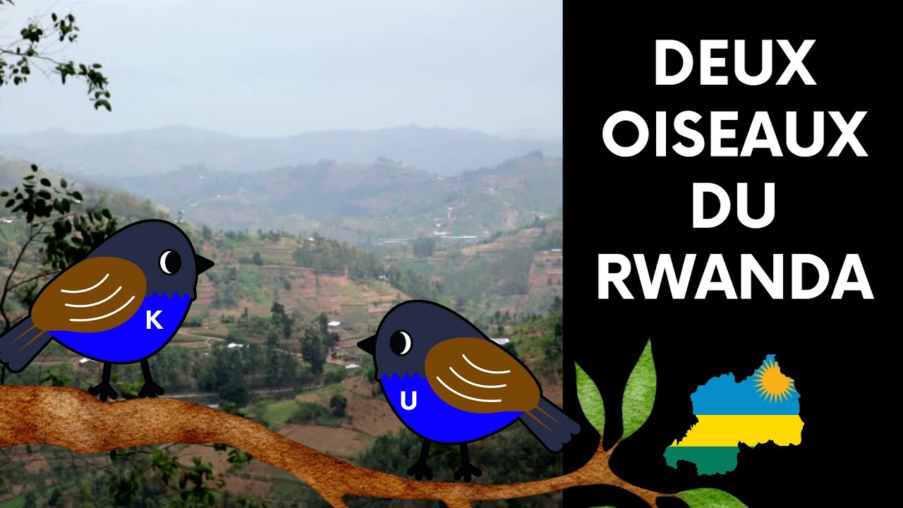 ALLER - DEUX OISEAUX DU RWANDA A1-A2 #rockyourclass #lisons #cefr #delf ...