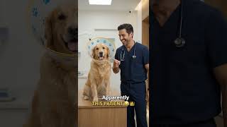 🐾 Comment your pet’s name and tag your veterinarian to discover how PetHalo can support recovery.
