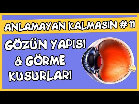 Anlamayan Kalmasın #11 Gözün Yapısı ve Görme Kusurları