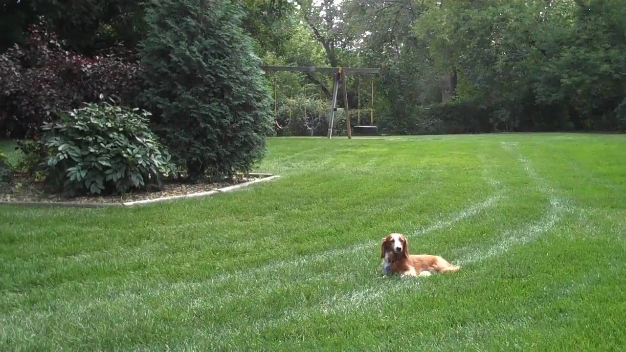 Flip Mino HD Test Video