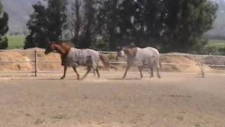 Reefer Personal Ad Outside