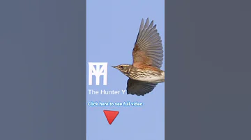 Thrush Sound صوت السمن Subscribe Share Like 