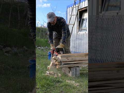 From Rusted Container to Dream Home! #4