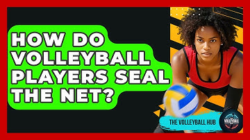 How Do Volleyball Players Seal The Net? - The Volleyball Hub