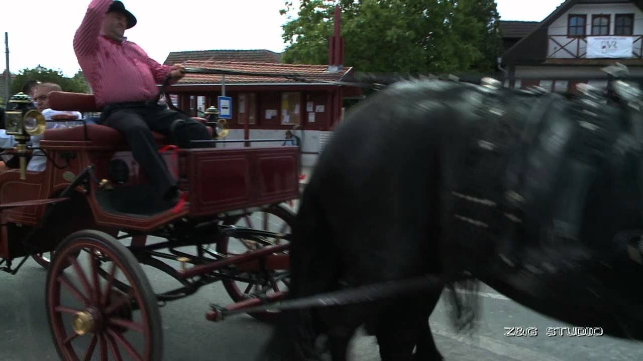 Rácalmási Gyuszi  lovasnapja  ZGSTUDIO VIDEÓ OFFICIAL ZGSTUDIO