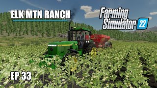 Hay Now! | Elk Mountain Ranch | Episode 33 | Farming Simulator 22