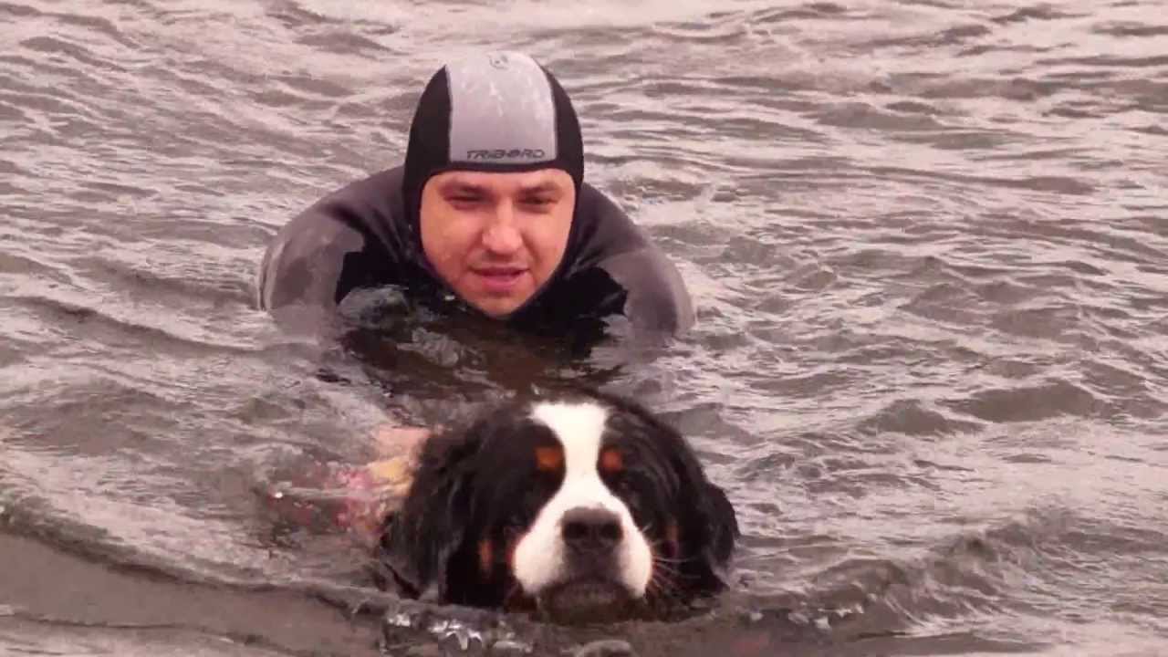 8 Mistrzostwa Polski Psów Ratowniczych i Pracujących w Wodzie 2013 - Dąbrowa Górnicza, Pogoria III