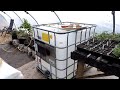 Water Storage - IBC Tanks - Lots of Water