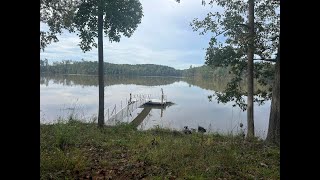 575 Lakeview Road video tour